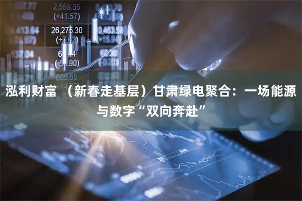 泓利财富 （新春走基层）甘肃绿电聚合：一场能源与数字“双向奔赴”